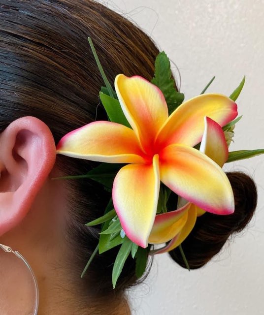 Floral Hair Pin Double Plumeria