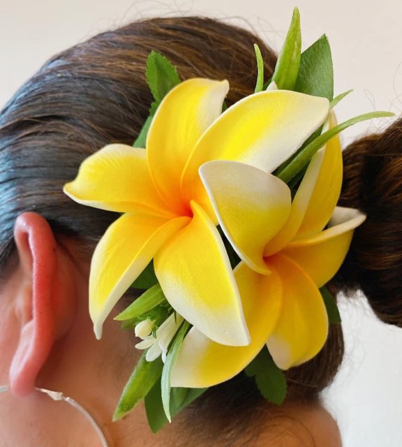 Floral Hair Pin Double Plumeria